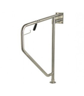 Horizontal swing grab bar