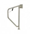 Horizontal swing grab bar