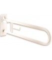 Swing up grab bar