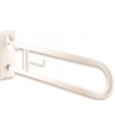 Swing up grab bar