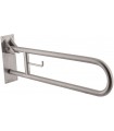 Vertical swing grab bar