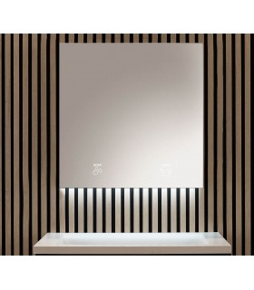 2 Module cabinet: soap + paper towel