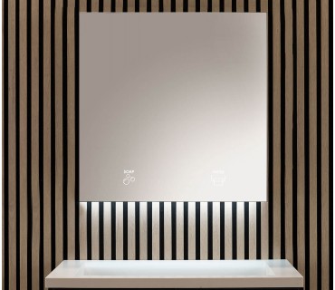 2 Module cabinet: soap + paper towel
