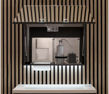 2 Module cabinet: soap + paper towel