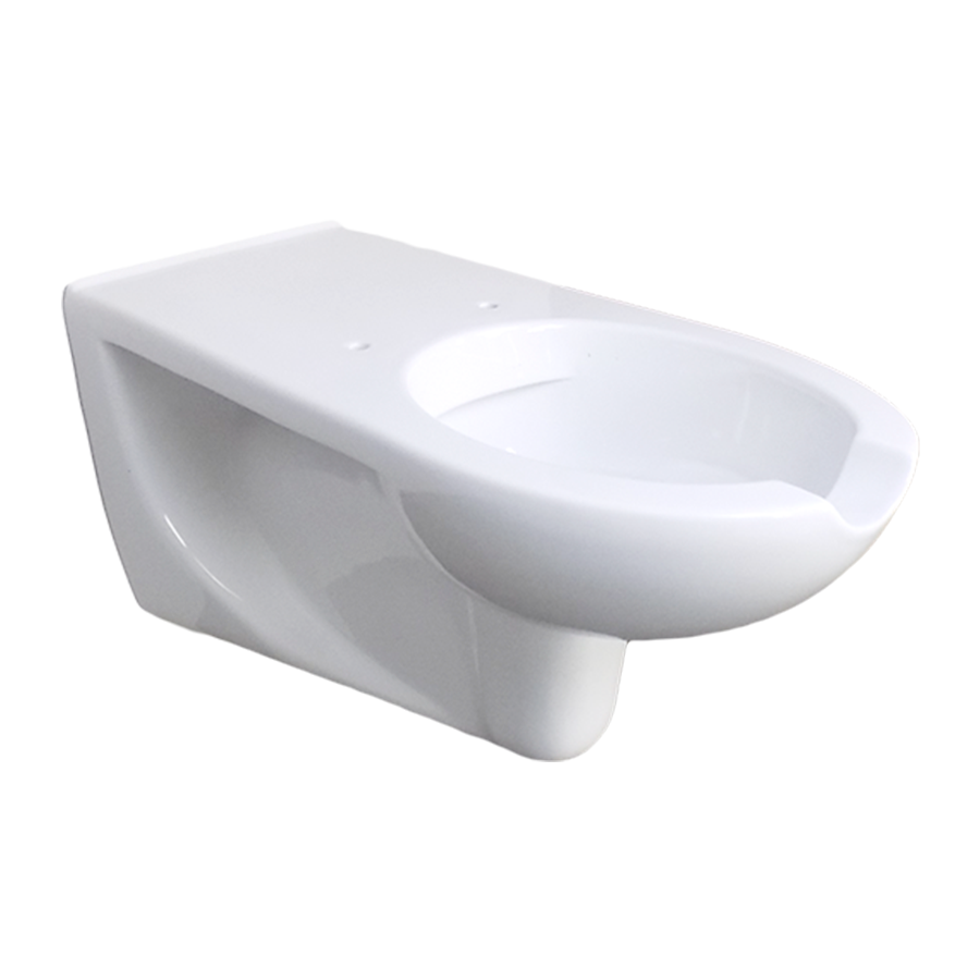 Inodoro de porcelana suspendido con apertura frontal